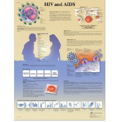 HIV And AIDS Chart
