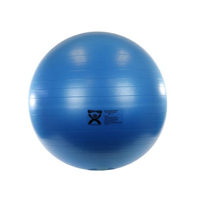 Cando Deluxe Anti-Burst Exercise Ball Blue 85cm