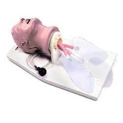 Intubation Head