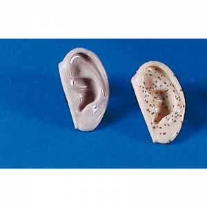 Acupuncture Ears, Natural Size, 2-item set