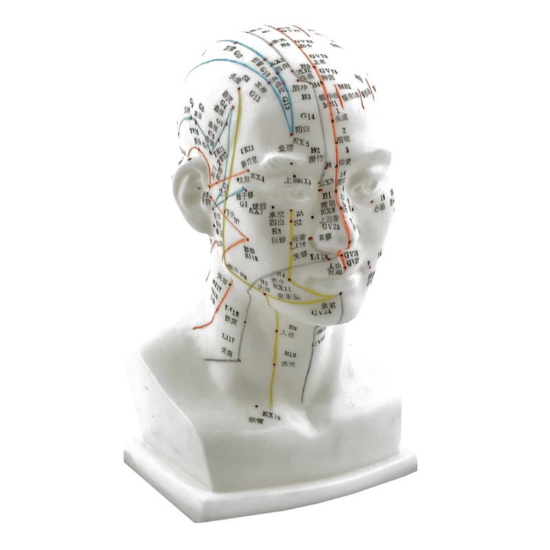 Acupat Pattern AcuPrime Point-Mate Acupuncture Point Locator | Health and Care