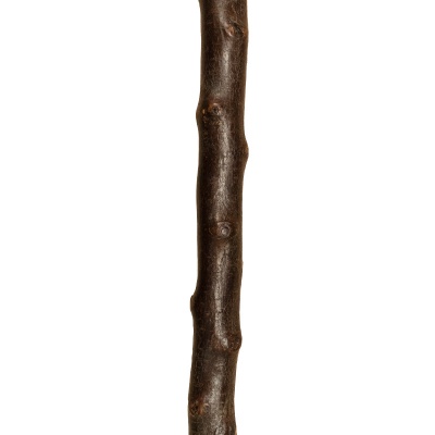 Antler Thumbstick Handle Blackthorn Walking Stick