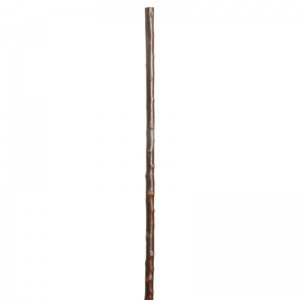 Blackthorn 92cm Walking Stick Fitup