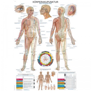 Body Acupuncture Chart | Health and Care