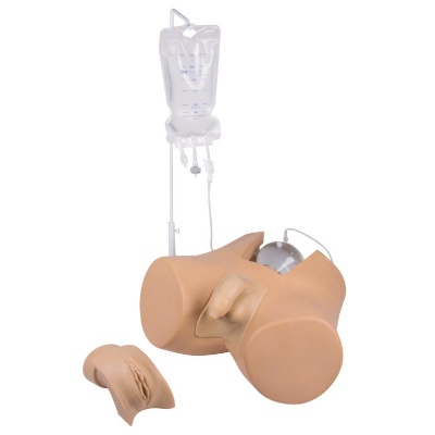 Erler Zimmer Catheterisation Trainer with Male and Female Genital Inserts