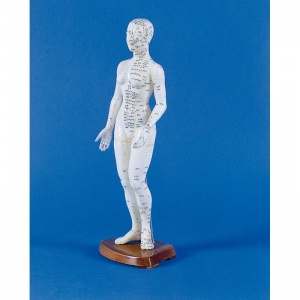 Chinese Acupuncture Figure, Female
