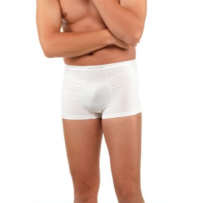 DermaSilk Intimo Men's Silk Boxers | Health and Care