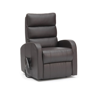Drive Single Motor PU Brown Rise and Recliner Chair
