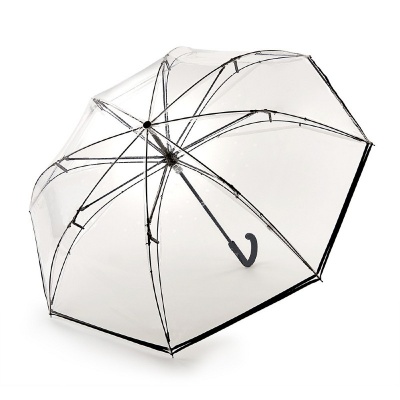 Fulton Invertor Automatic Invertible Clear Umbrella