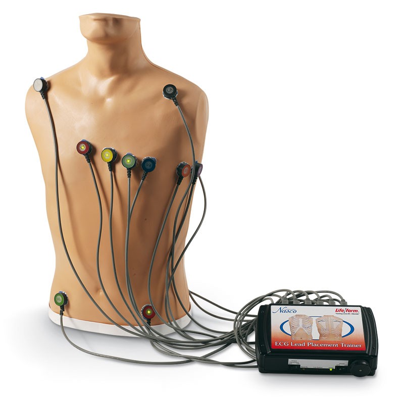 15-Lead ECG Placement Trainer