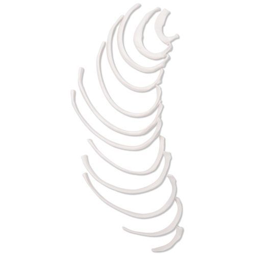 Ribs | Health and Care