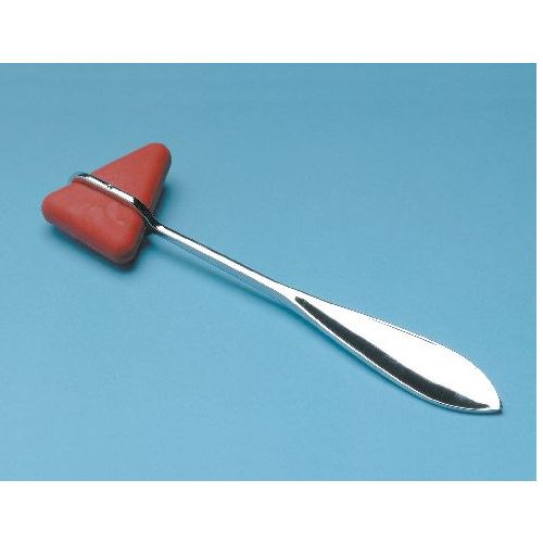 Taylor Percussion Reflex Hammer Health and Care
