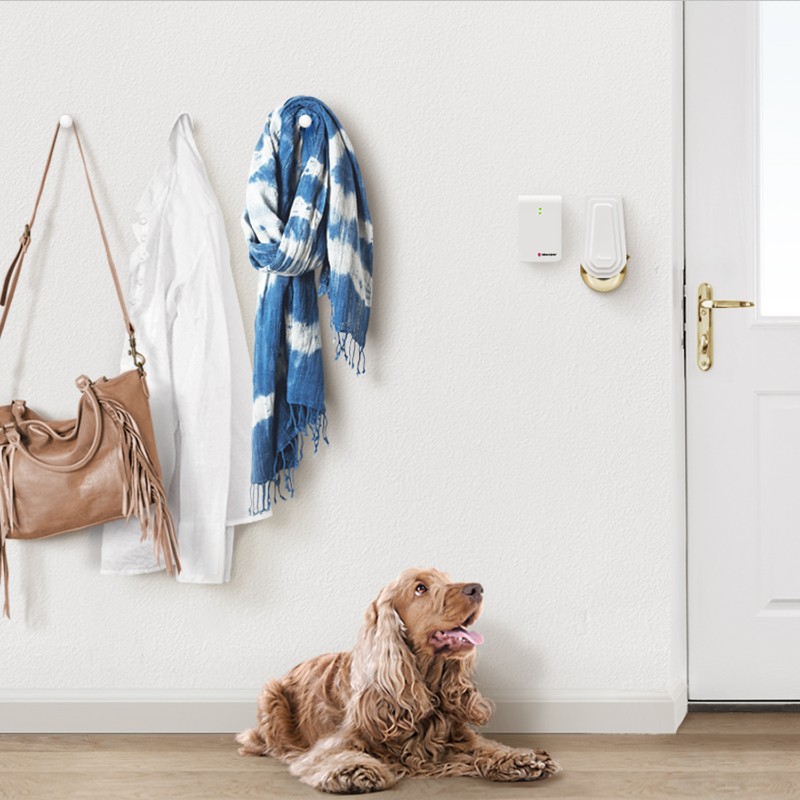 Bellman Door Transmitter in Use at Home