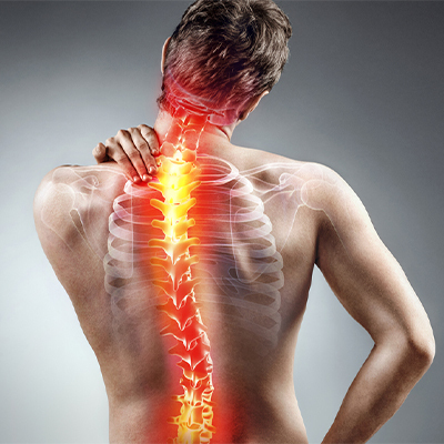 backbone thoracic back cushion