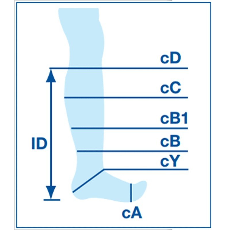 Jobst Compression Sock Measurement Guide