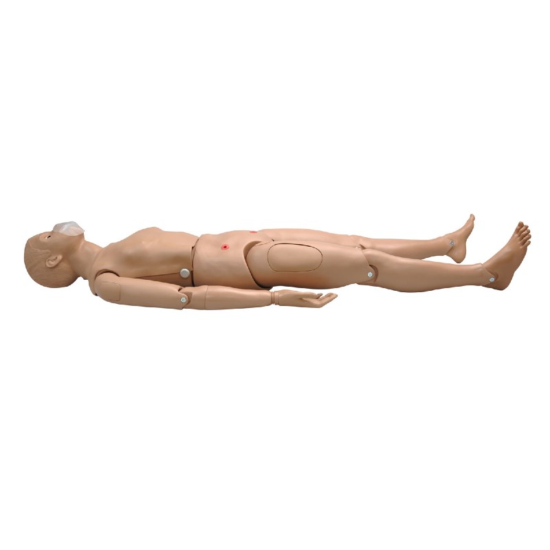 CPR Simon BLS Full-Body CPR Manikin with Venous Sites