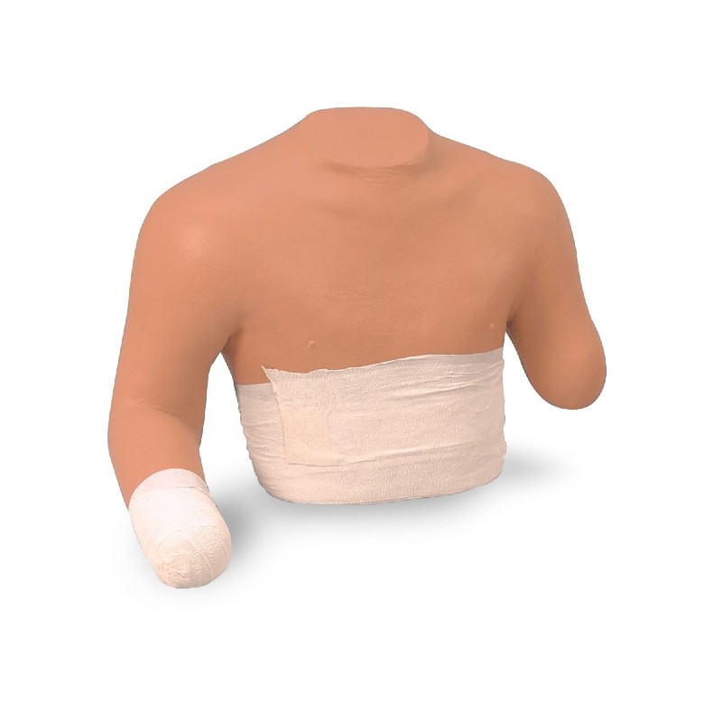 Life/Form Upper Stump Bandaging Simulator Health and Care