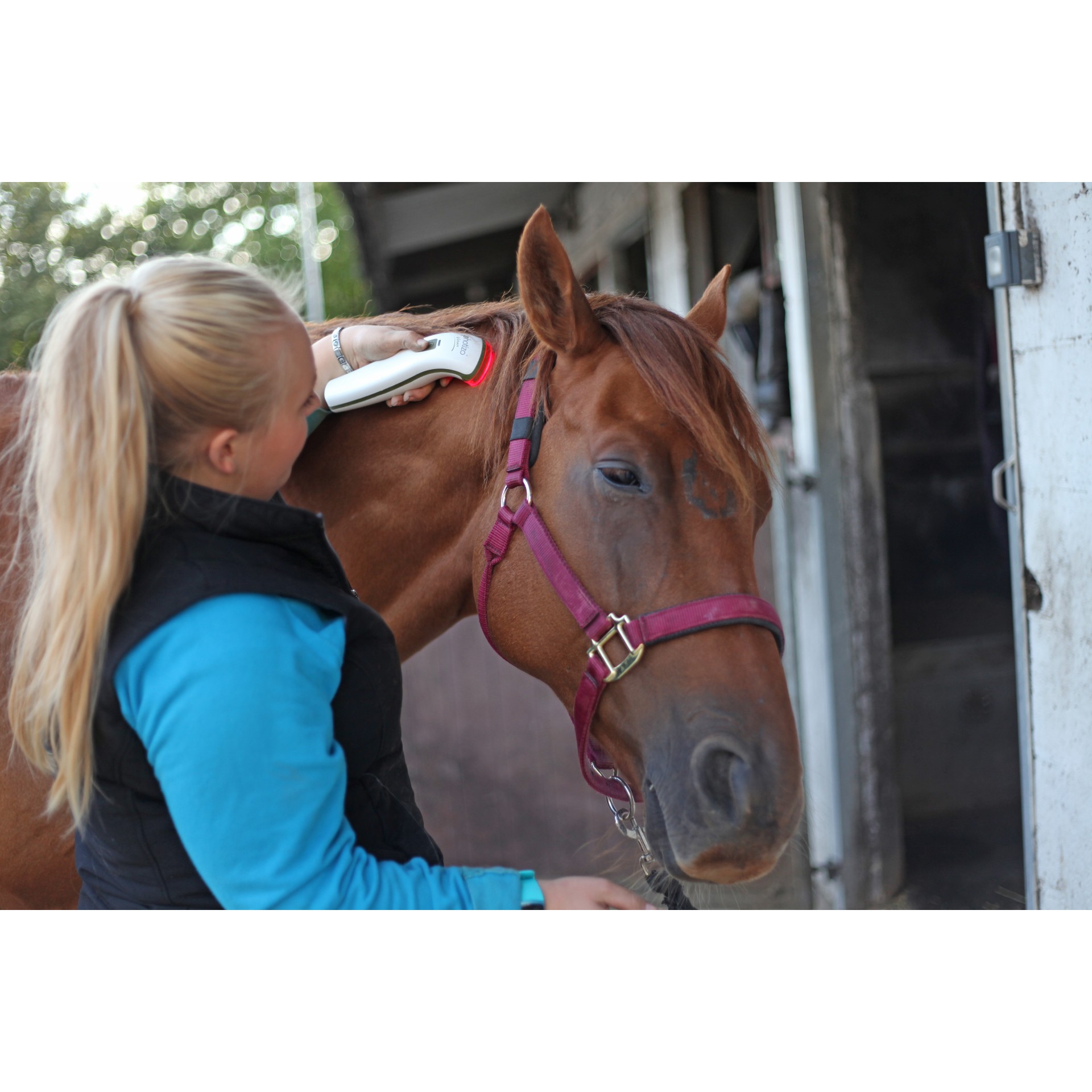 Photizo Vetcare RedLight Therapy Device Health and Care