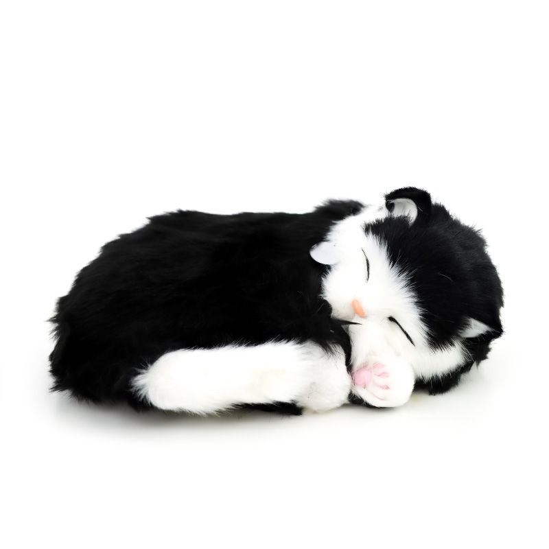 Precious Petzzz Black and White Cat Health and Care