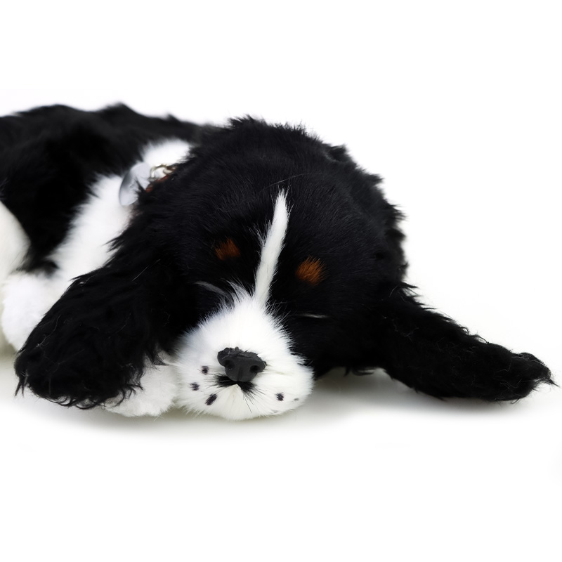 Precious Petzzz Cocker Spaniel Toy Dog Health and Care