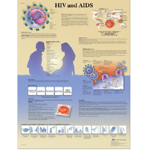Hiv And Aids Chart