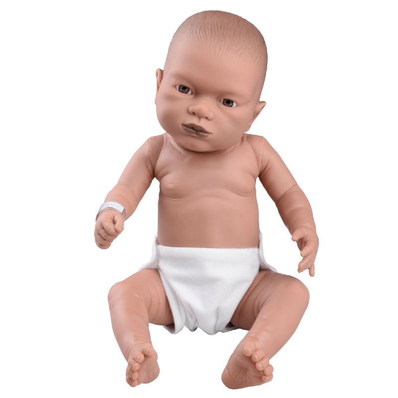 3B Scientific Newborn Male Baby Care Model - 19.7 Inch Realistic Training Doll