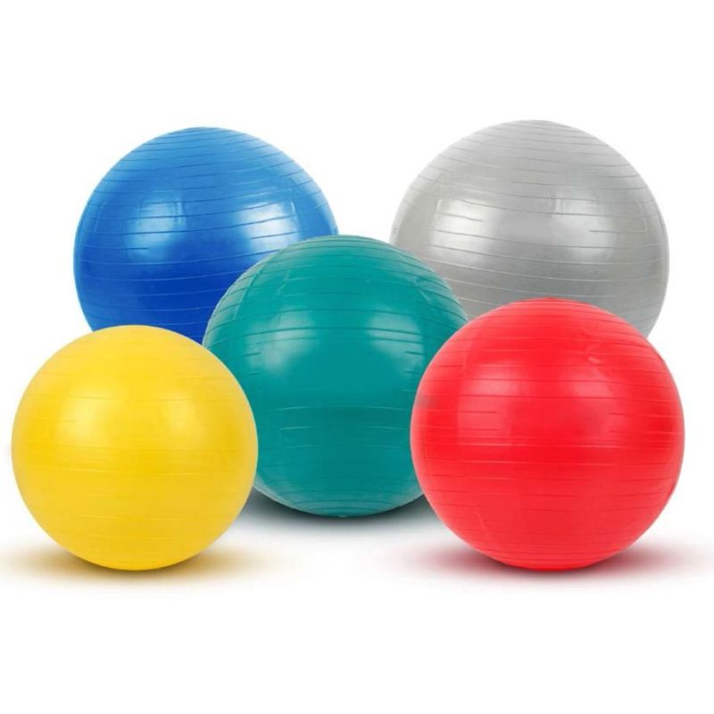 Anti-Burst Exercise Ball 75cm Blue 