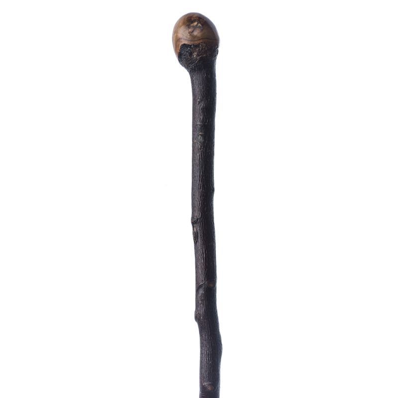 Applewood Knobstick Walking Stick