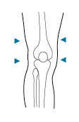 BioSkin Knee Support Measurements