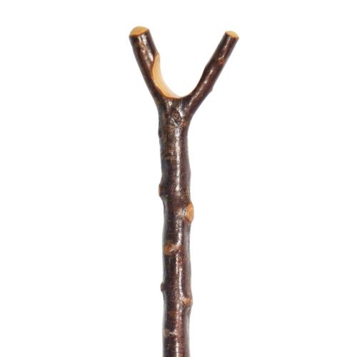 buy hiking sticks