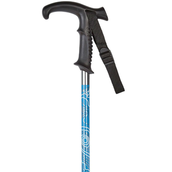 shock absorbing hiking pole