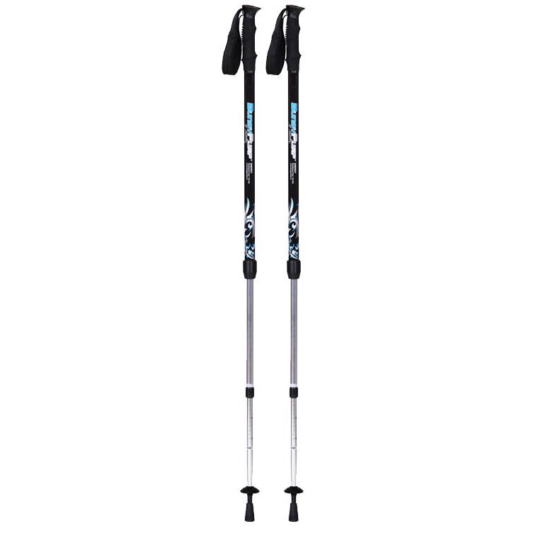 BungyPump Energy Training Poles (6kg Resistance)