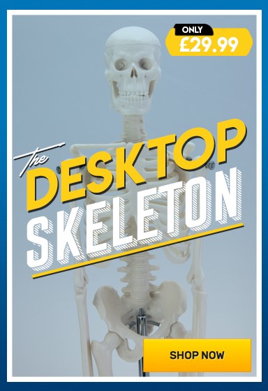 Desktop Mini Skeleton – Shop Now!