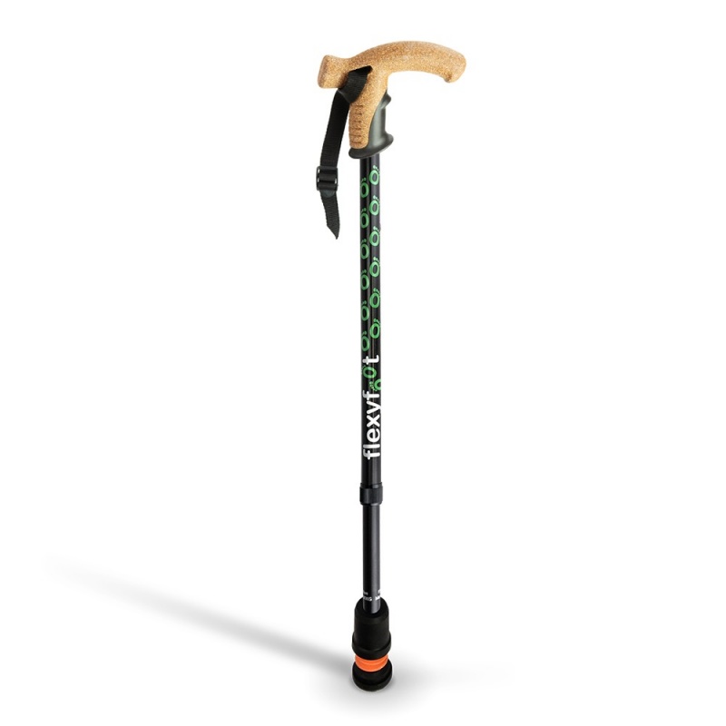 retractable walking pole