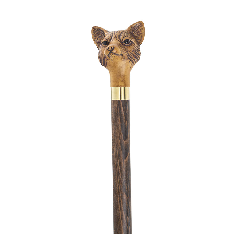Fox Collectors' Walking Stick Health and Care