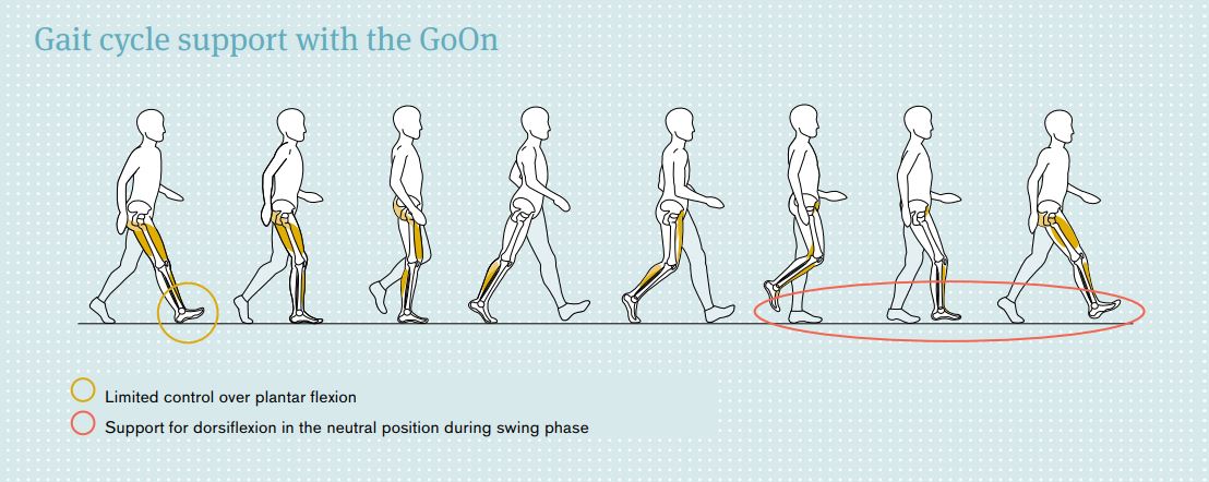 Gait Cycle Support Diagram