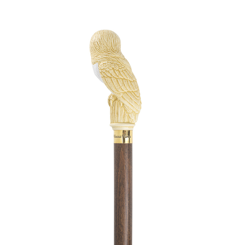 Imitation Ivory Barn Owl Hardwood Cane Health and Care