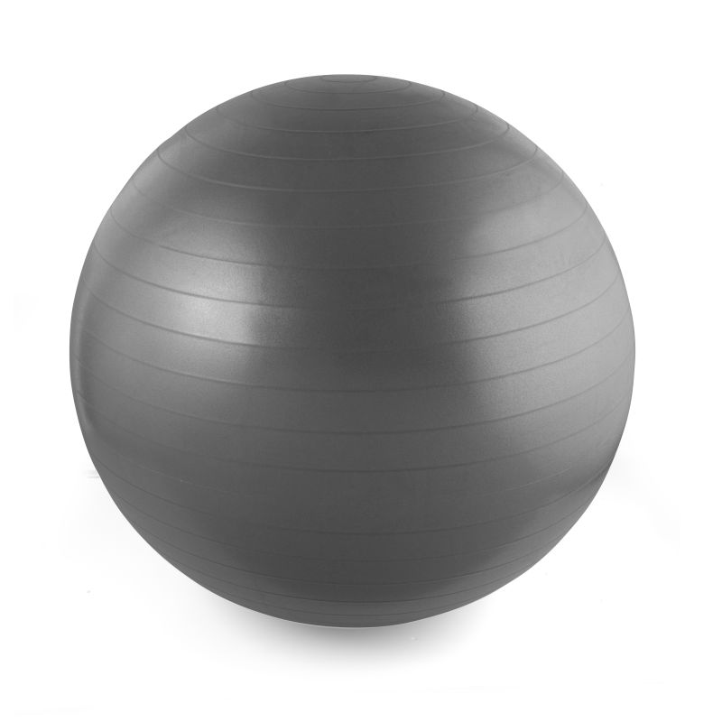 swiss exercise ball