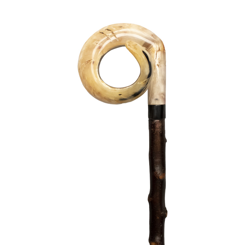 Long Curly Ram's Horn Crook Walking Stick Health and Care