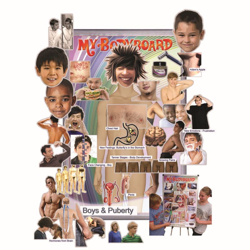 Puberty For Boys You and Your New Body Professional Pack
