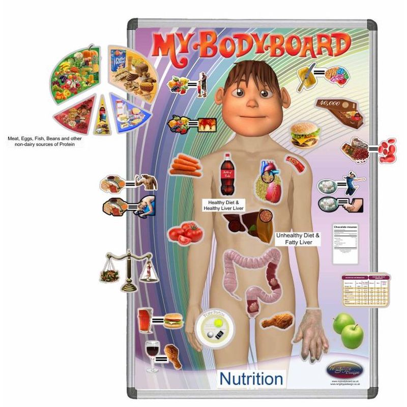 My BodyBoard Teaching Nutrition Magnet Pack