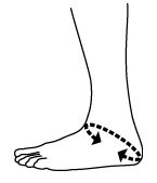Push Med Aequi Flex Ankle Brace Sizing Guide