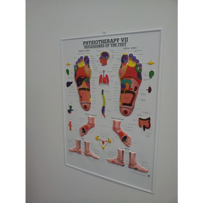 3D Feet Reflexology Poster