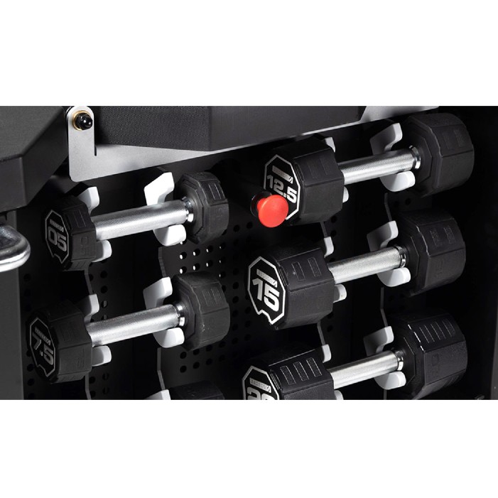 Escape Fitness Strongbox Workout Bench Health and Care