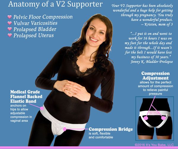 Anatomy of a V2 Supporter Anatomy of a V2 Supporter