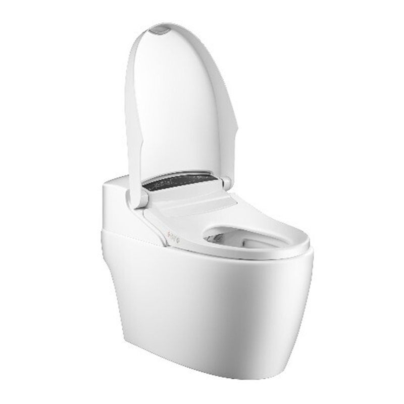 Washloo Evolution Smart Bidet Toilet Health and Care