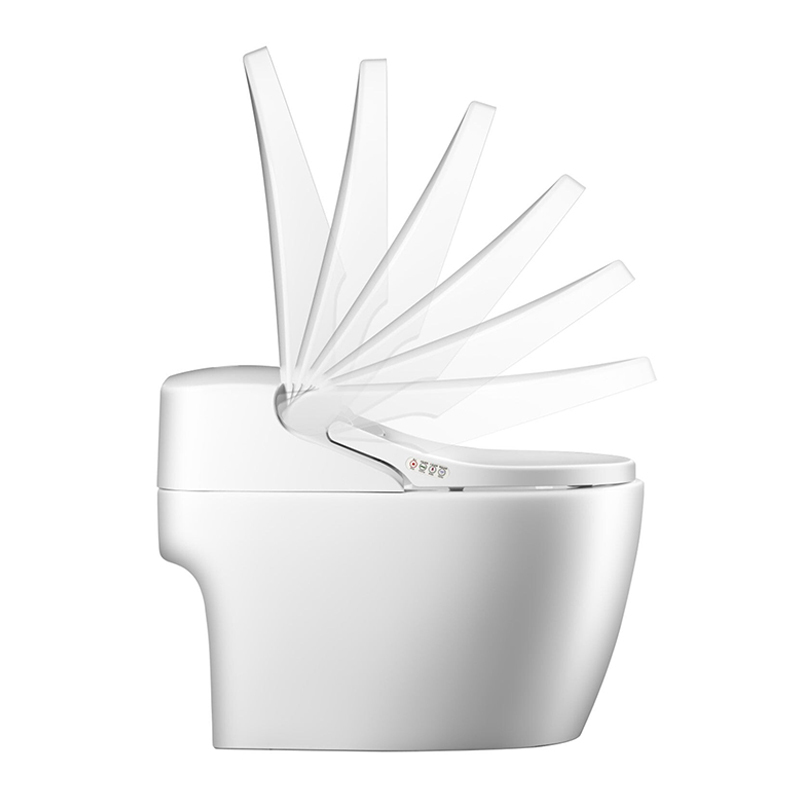 Washloo Evolution Smart Bidet Toilet Health and Care