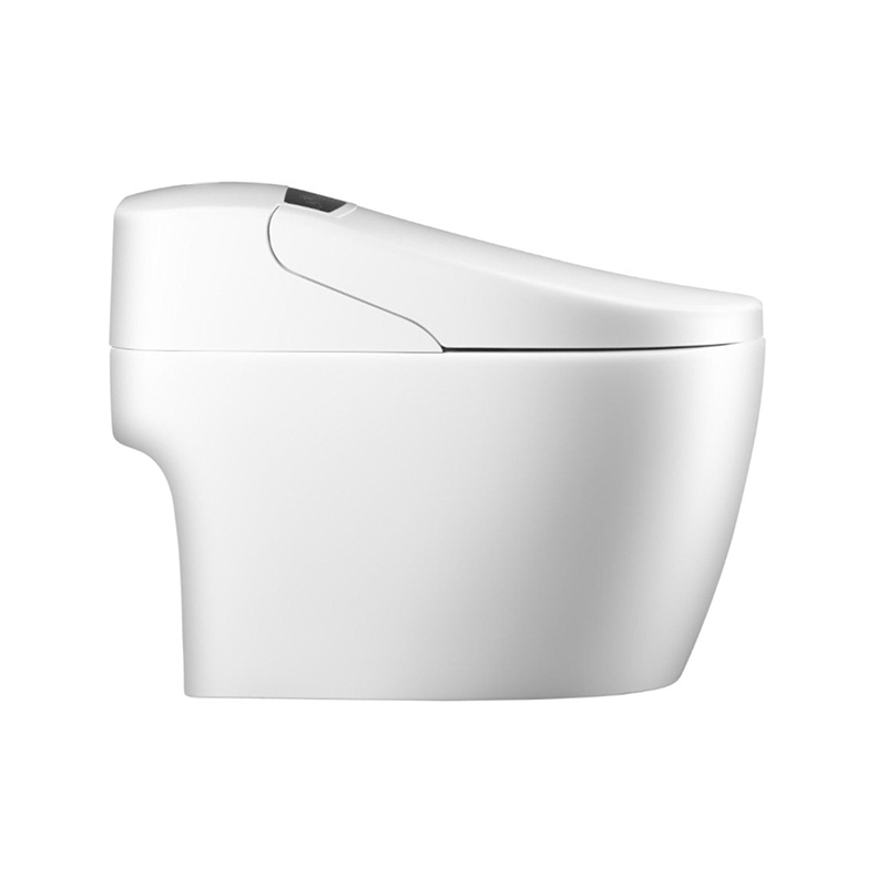 Washloo Evolution Smart Bidet Toilet Health and Care