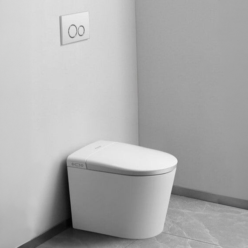 Washloo Sensation Smart Toilet (Floor) Health and Care