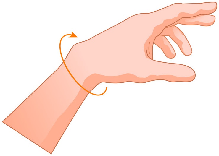 How to measure the circumference of your wrist